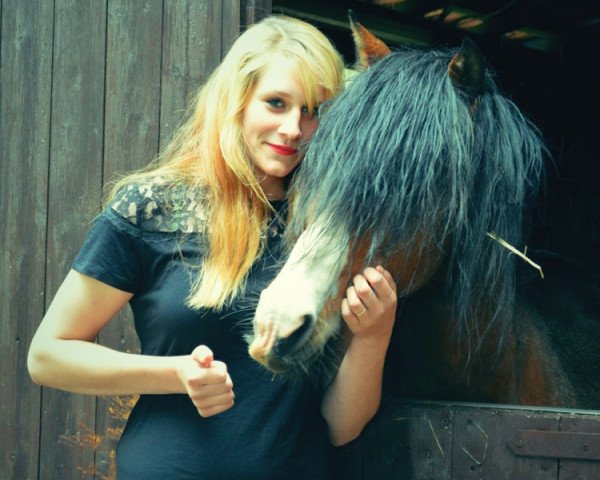 Deckhengst Glantir Macaulay (Welsh Pony (Sek.B), 1995, von Møllegårds Spartacus)