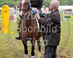 dressage horse Prima Donna 33 (Deutsches Reitpony, 2000, from FS Don't Worry)