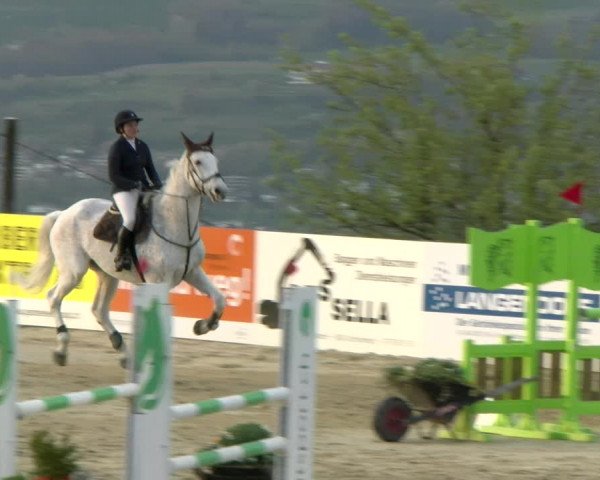 Reitturnier Wädenswil 2022