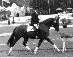 broodmare Ria (Westphalian, 1984, from Ricardo)