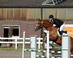 dressage horse Lord Sandro UN (Oldenburg, 2007, from Lordanos)