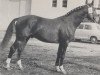 stallion Asket (Westphalian, 1958, from Astrachan)