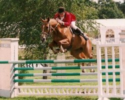 broodmare Canaille des Vaux (Selle Français, 1990, from Super de Bourrière)