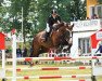 jumper Gialotta Z (German Sport Horse, 2010, from Guiness)