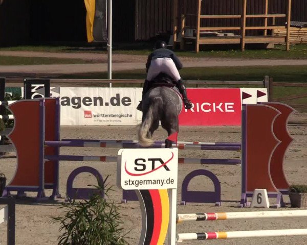 Reitturnier Westergellersen 2022