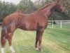 stallion Lyriker (Hanoverian, 1990, from Lysander)