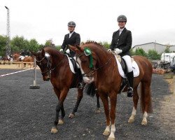 dressage horse Fire Esprit (Holsteiner, 2000, from Fleming)