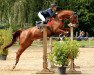 jumper Pippilotta ZGE (Hanoverian, 2009, from Perigueux)