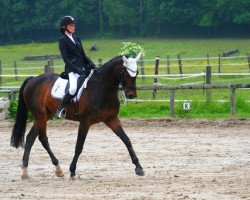 dressage horse De Beauregard (Hanoverian, 1999, from Davignon I)