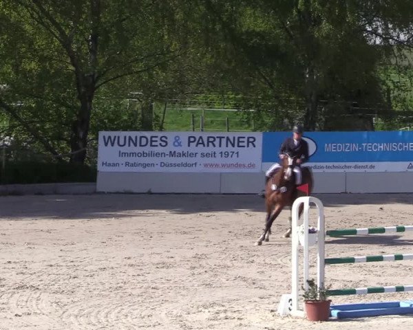 Reitturnier Monheim - Gut Blee 2022