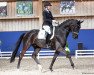 dressage horse Bon Amour (Oldenburg, 2016, from Bon Coeur)