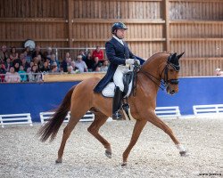 dressage horse Elian Royale (KWPN (Royal Dutch Sporthorse), 2009, from Glock's Johnson Tn)