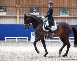 dressage horse FBW Lord of Dance (Württemberger, 2012, from Lingh)