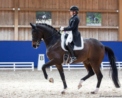 dressage horse First Romance 2 (Württemberger, 2010, from Fürst Romancier)