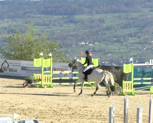 Reitturnier Wädenswil 2022