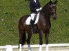 dressage horse Great Zion (KWPN (Royal Dutch Sporthorse), 2004, from Gribaldi)