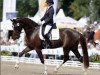 dressage horse Donna Charian (Württemberger, 2005, from Don Schufro)