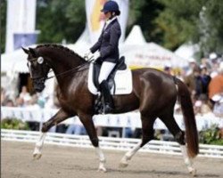 dressage horse Donna Charian (Württemberger, 2005, from Don Schufro)