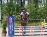 jumper Grandios B (Hanoverian, 2012, from Gavi)