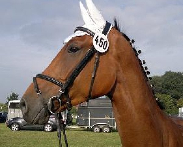 horse Jack Sparrow K (Polish Warmblood, 2005)