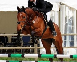 jumper Candy Girl 10 (Hanoverian, 2008, from Chacco-Blue)