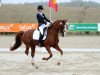 dressage horse Fionella (Hanoverian, 2000, from Federweisser)