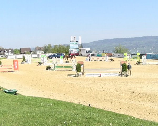 Reitturnier Wädenswil 2022