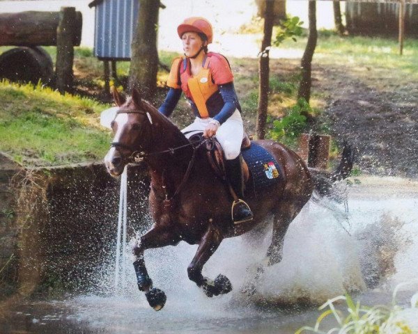 jumper Fiara (German Riding Pony, 1994, from Giglbergs Cappuccino)