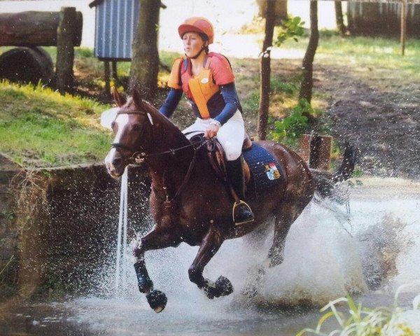 Springpferd Fiara (Deutsches Reitpony, 1994, von Giglbergs Cappuccino)