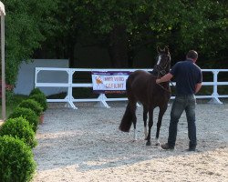 broodmare Valeska V.H. (German Riding Pony, 2010, from Valido's Highlight)