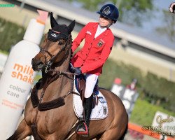 jumper Lionel Messi 3 (German Sport Horse, 2010, from Leo von Faelz)