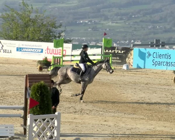 Reitturnier Wädenswil 2022