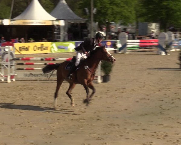 Reitturnier Olfen-Vinnum 2022