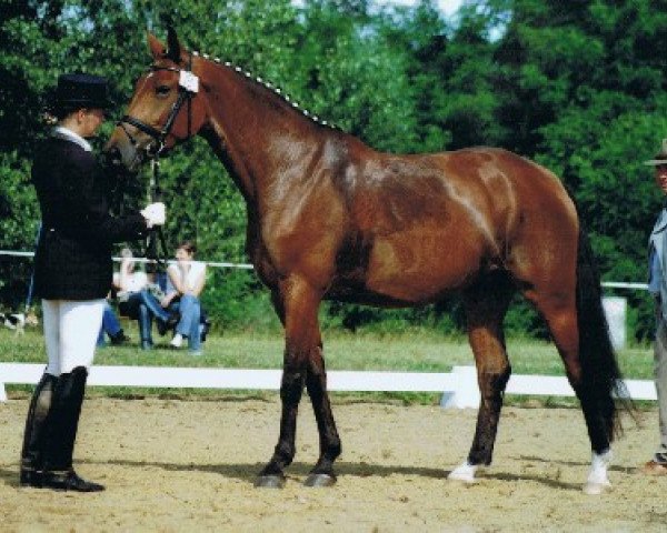 broodmare Mona Lisa (German Sport Horse, 2003, from Liberty Son)