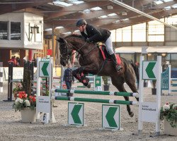 Springpferd Lady Lou Md (Deutsches Sportpferd, 2011, von Leo von Faelz)