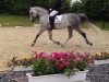 dressage horse Carpe Diem 55 (Hanoverian, 2005, from Charon)