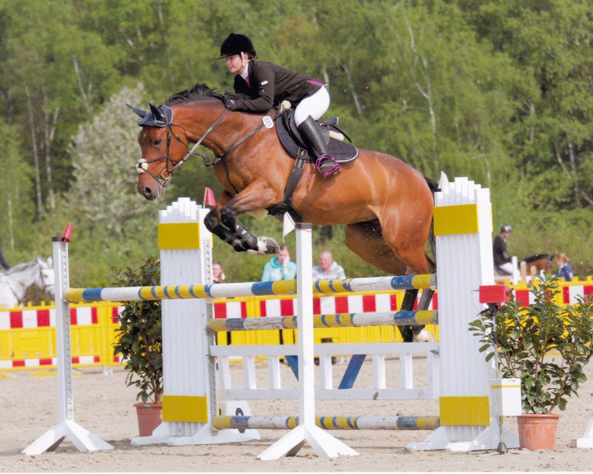 jumper Curly 49 (Westphalian, 2005, from Collin L)