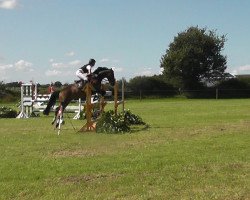 jumper Fair Play's Hope Tcf (German Riding Pony, 2002, from Welcome Sympatico)