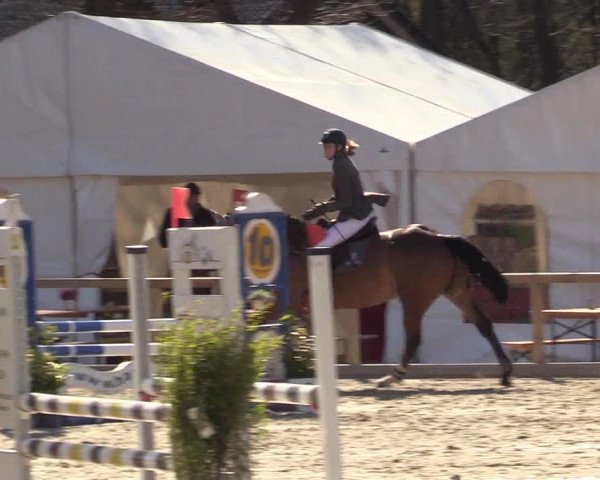 Reitturnier Kropp 2022