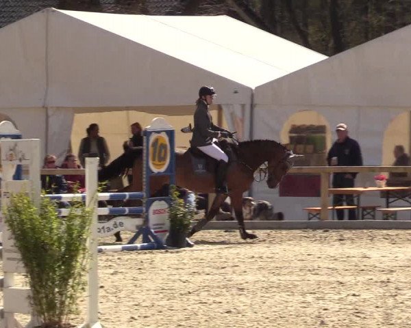 Reitturnier Kropp 2022