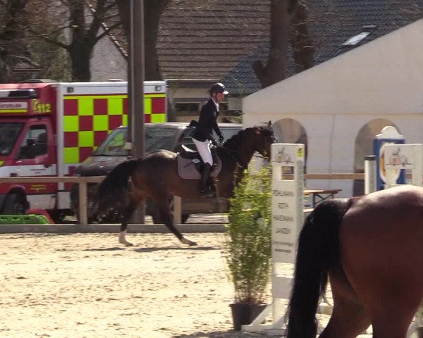 Reitturnier Kropp 2022