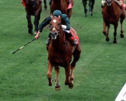 stallion Generous xx (Thoroughbred, 1988, from Caerleon xx)