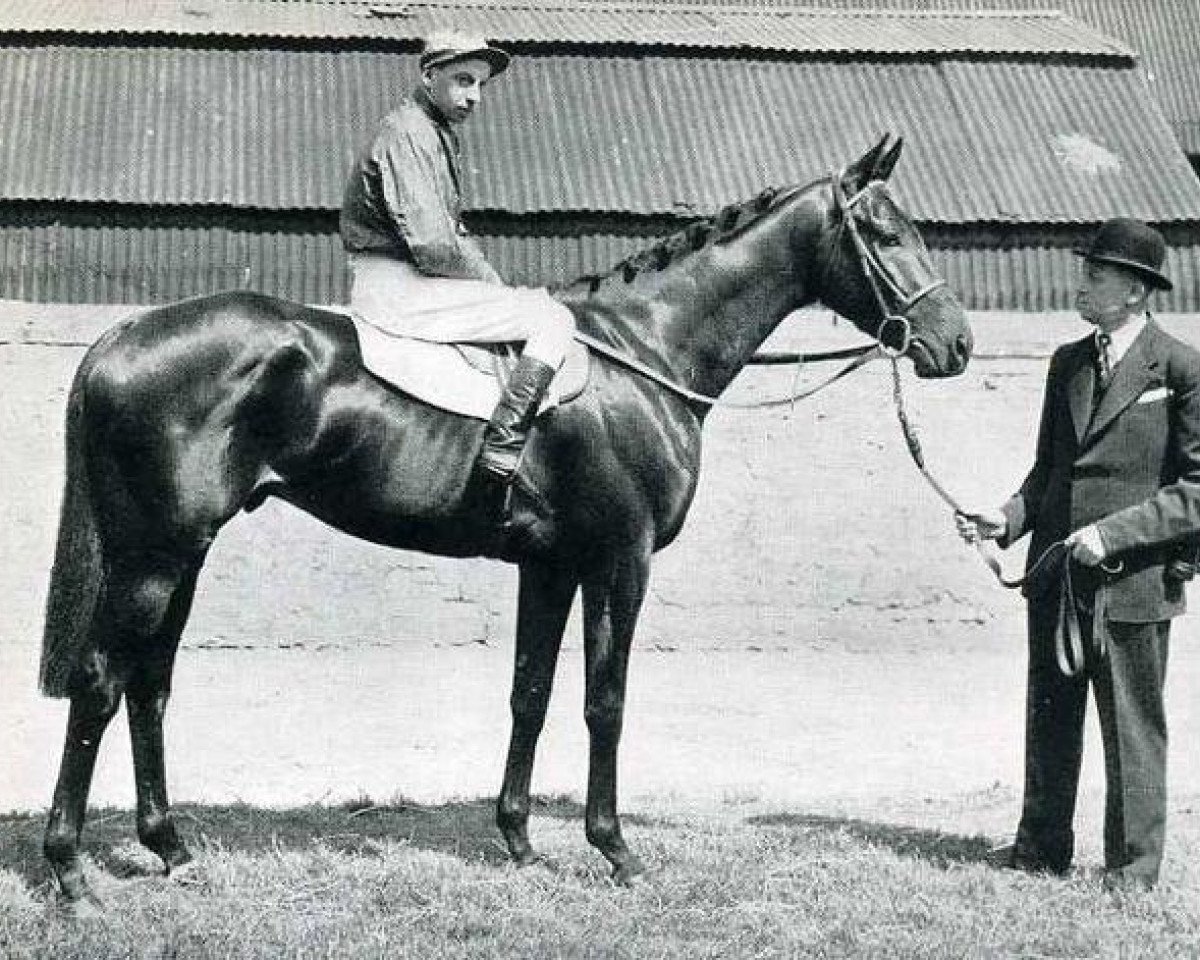 stallion Arctic Prince xx (Thoroughbred, 1948, from Prince Chevalier xx)
