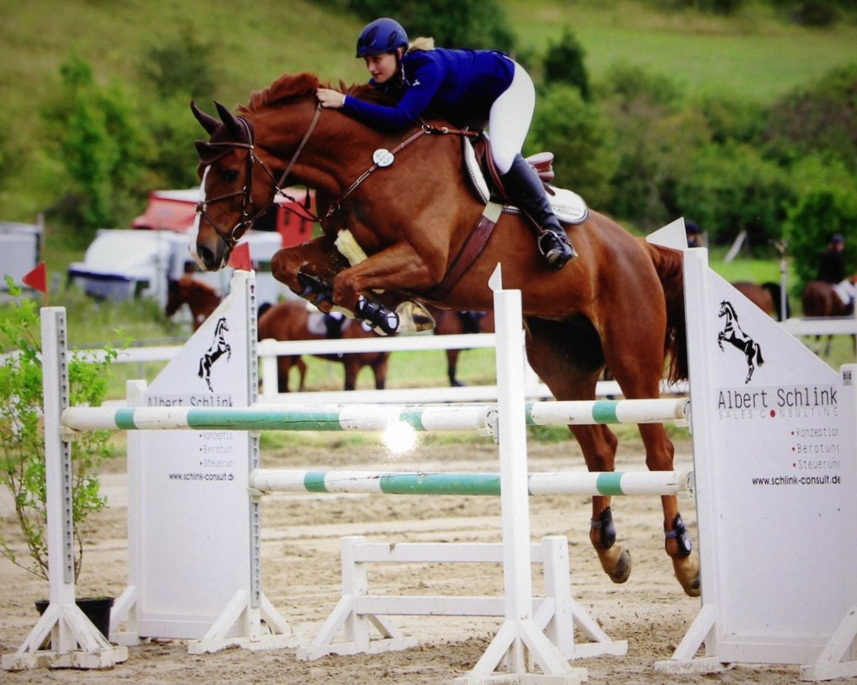 Springpferd Fu Vo (Hessisches Warmblut, 2001, von Furioso's Sohn)