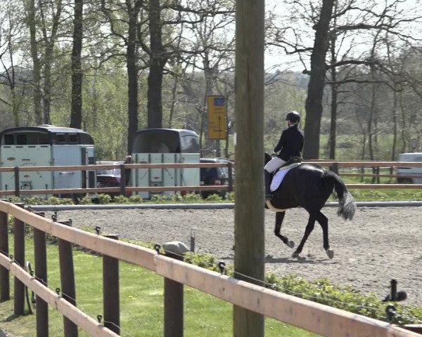 Reitturnier Schwanewede 2022