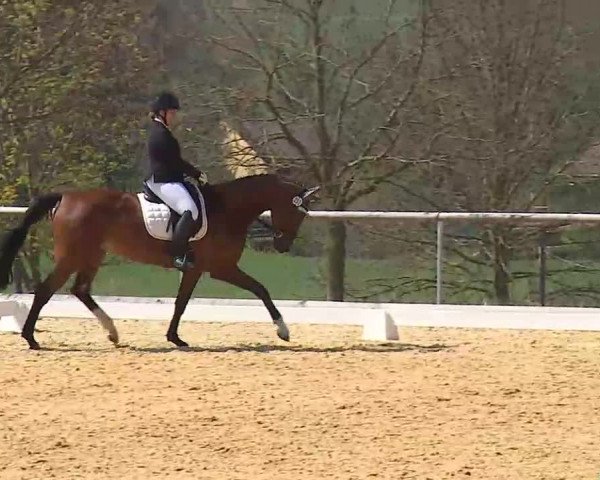 Reitturnier Altentrüdingen/Mfr. 2022