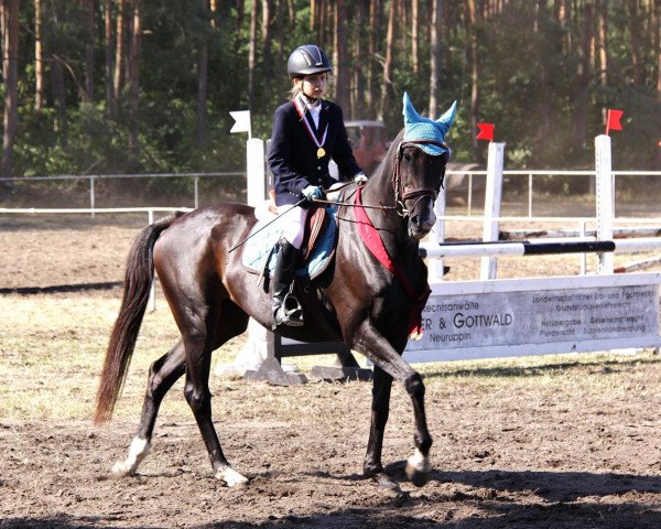 broodmare Labella Victoria xx (Thoroughbred, 1994, from Peking Opera xx)