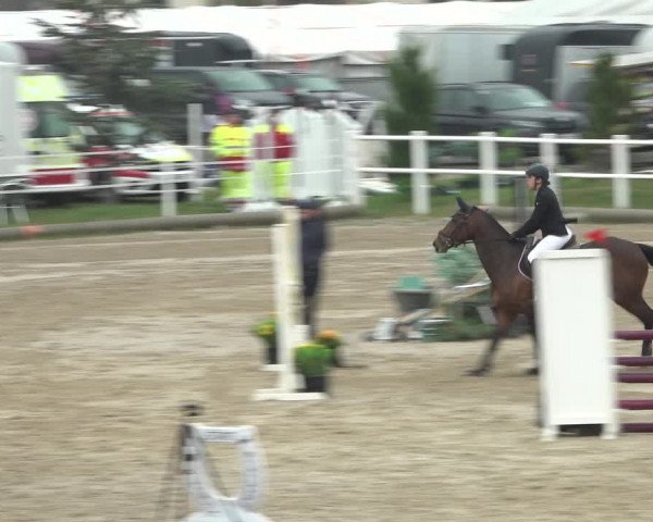 Reitturnier Ried am Riederberg 2022
