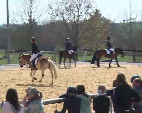 Reitturnier Altentrüdingen/Mfr. 2022