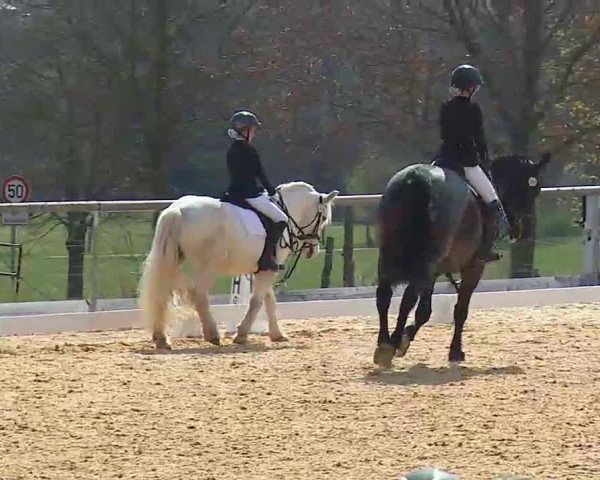 Reitturnier Altentrüdingen/Mfr. 2022